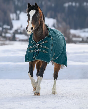 Light- & Heavyweight Turnout Rugs