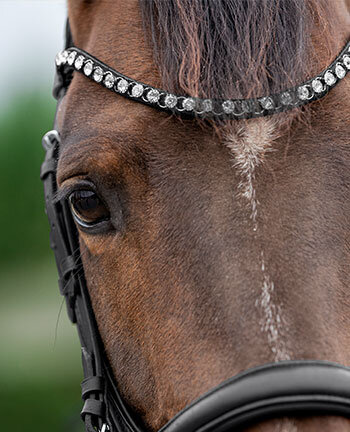 Browbands