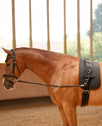 Training Aids Training Aids