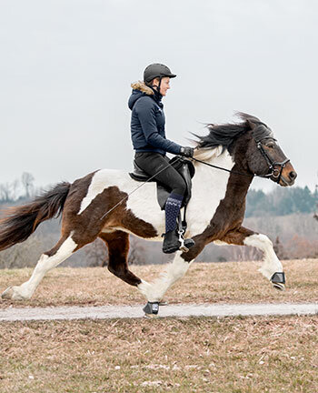 Icelandic Riding Icelandic Riding