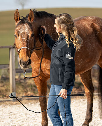Horsemanship & Horse Groundwork Horsemanship & Horse Groundwork