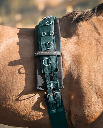 Lungeing Rollers Lungeing Rollers