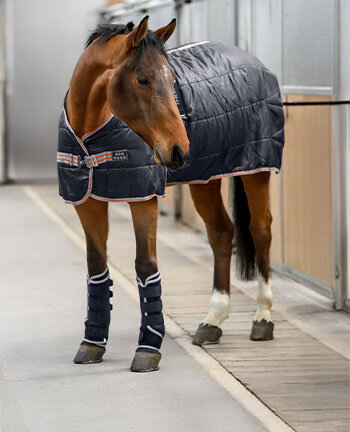 Therapy and Regeneration Therapy and Regeneration