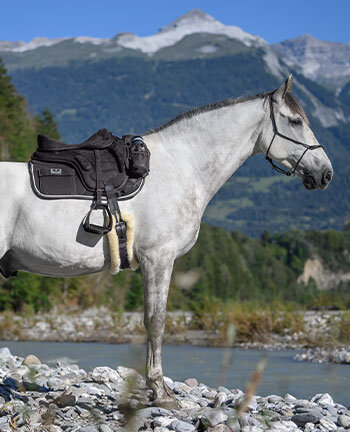 Trekking Saddles & Accessories Trekking Saddles & Accessories
