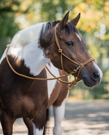 Horse Trekking Bridles & Accessories Horse Trekking Bridles & Accessories