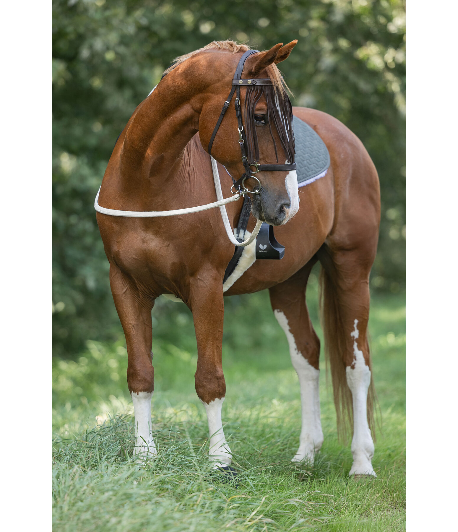 Suede Fly Fringes Cles