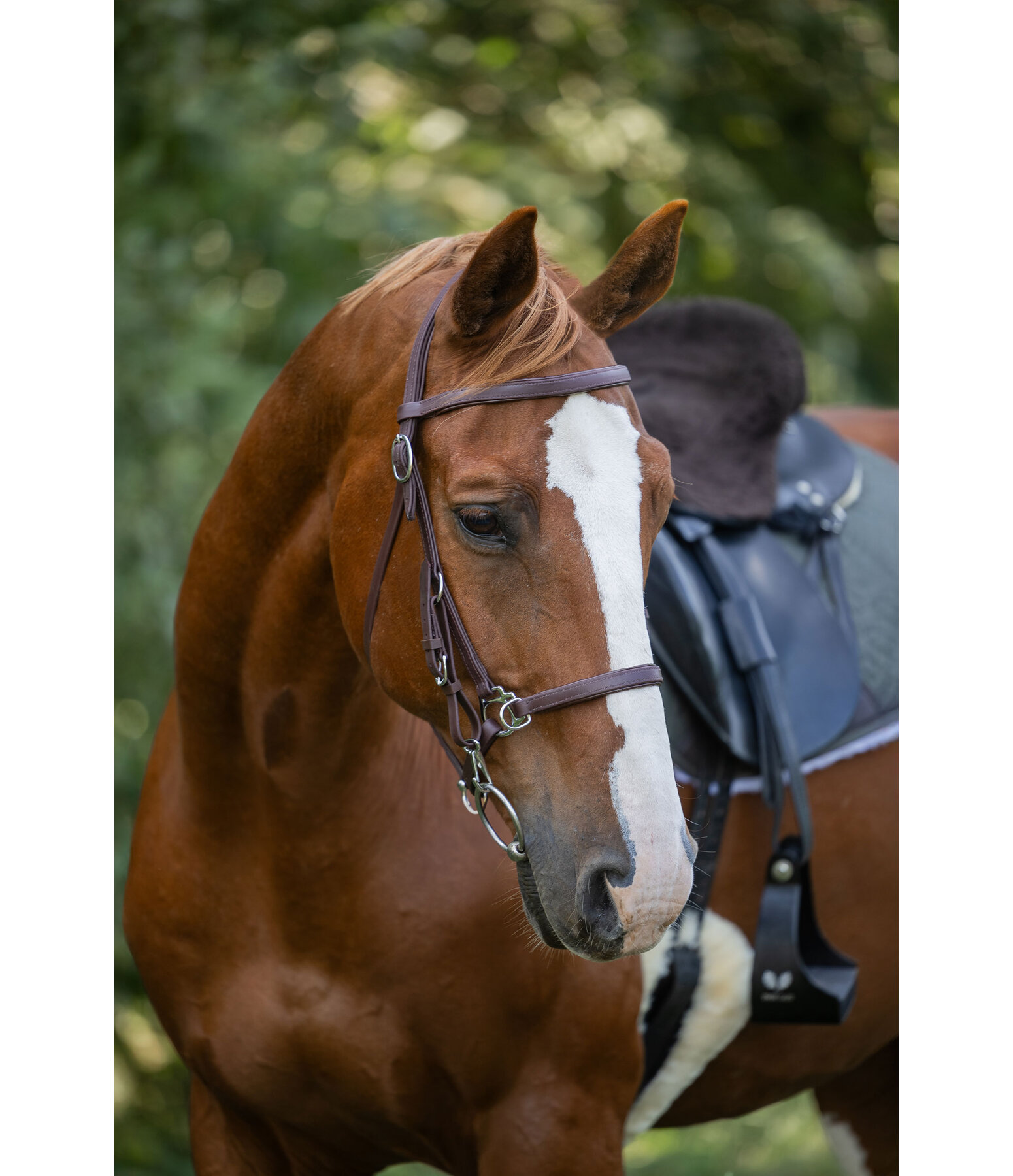 Waterproof Trekking Bridle Eifel