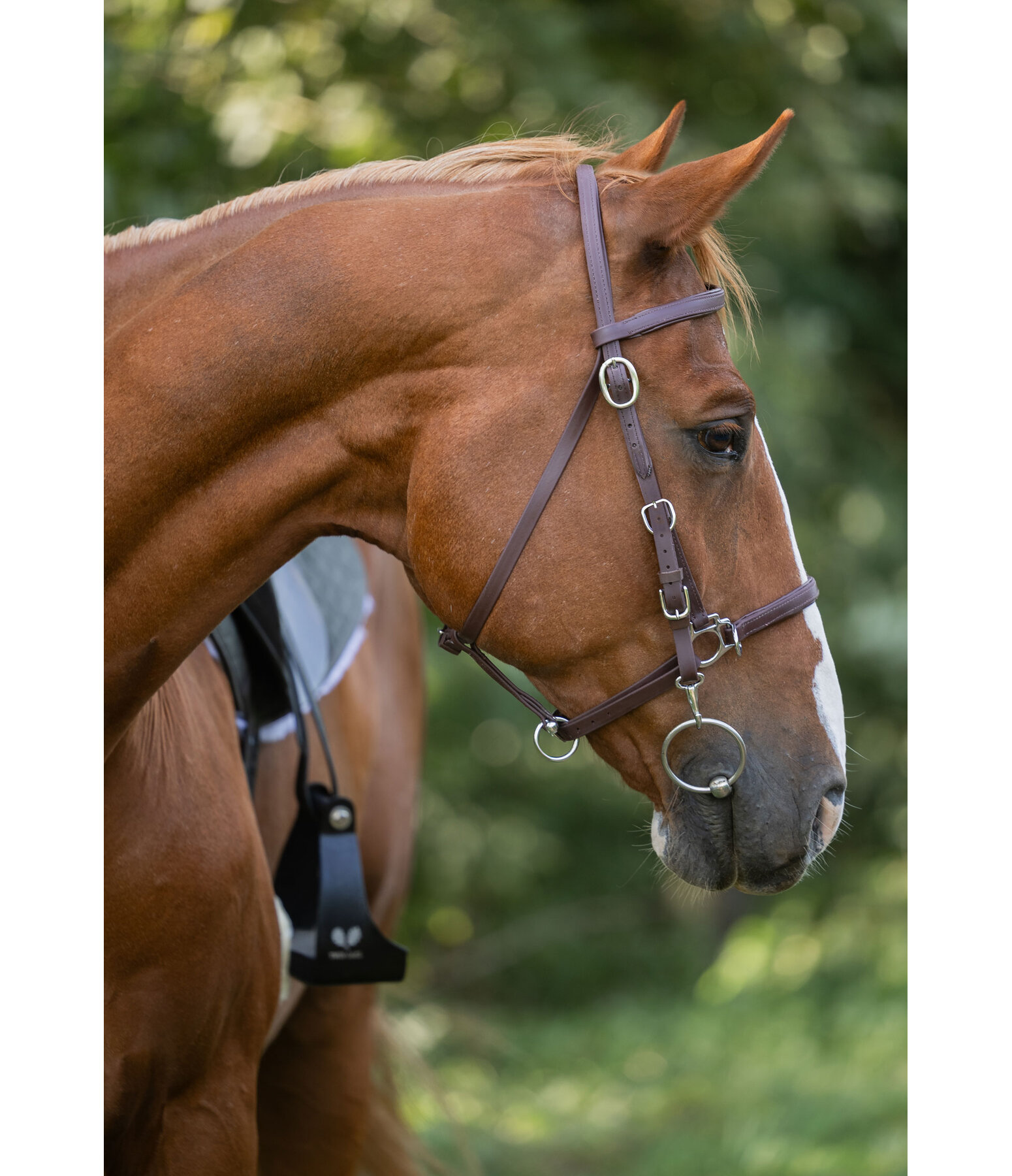 Waterproof Trekking Bridle Eifel