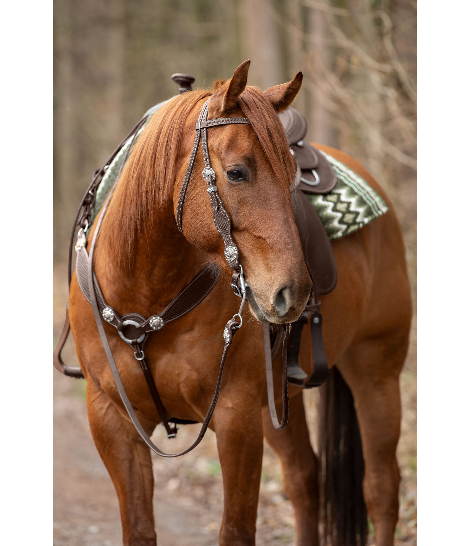 Headstall Crystal Dream