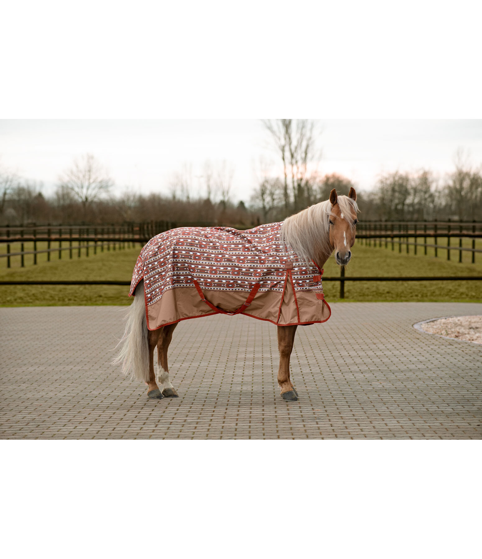 Lightweight Turnout Rug Billy