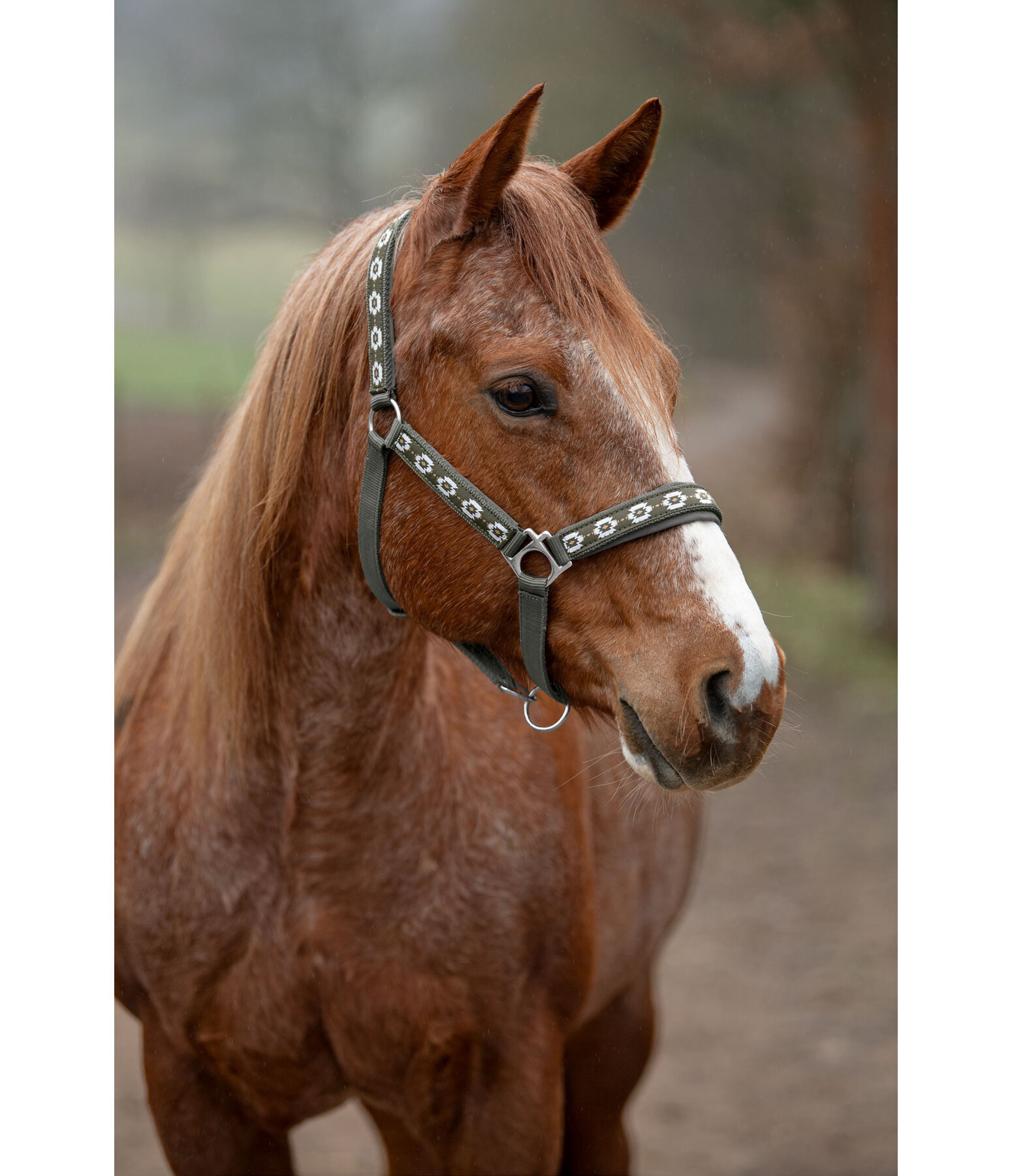 Headcollar Ikat