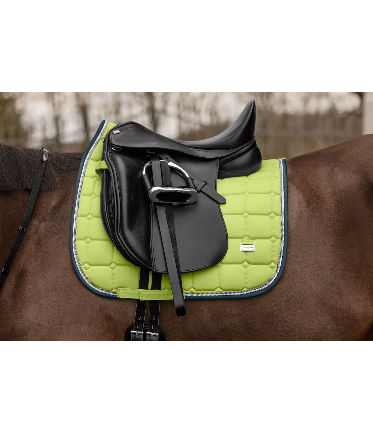 Saddle Pad Essential