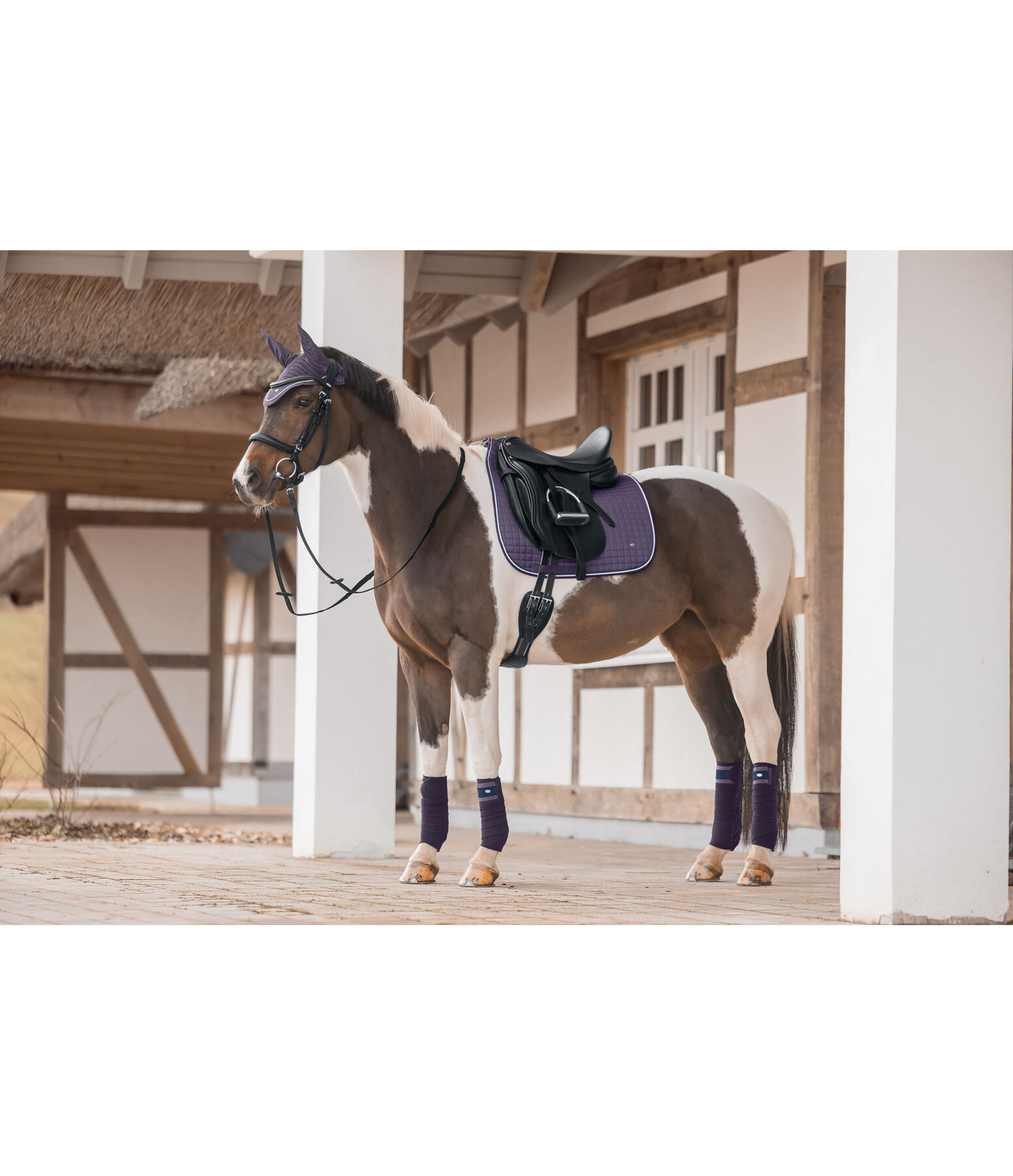 Saddle Pad Basic