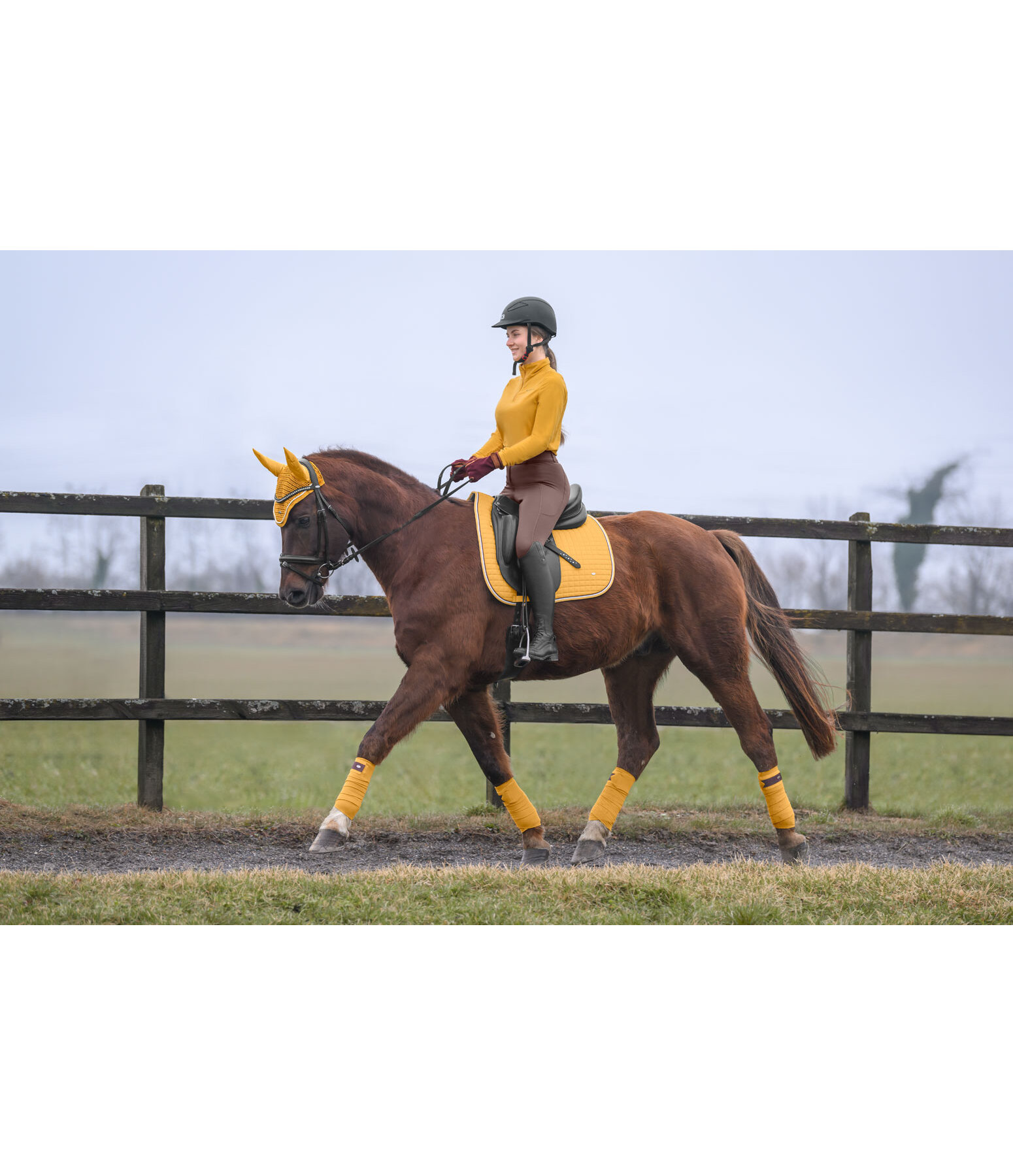 Saddle Pad Basic