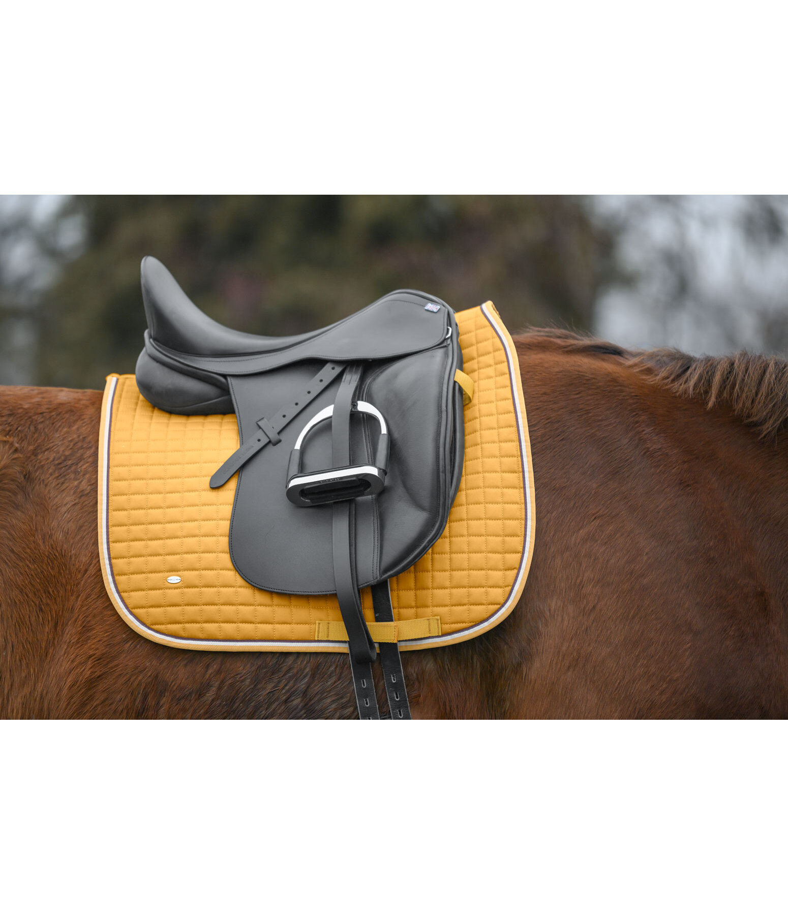 Saddle Pad Basic