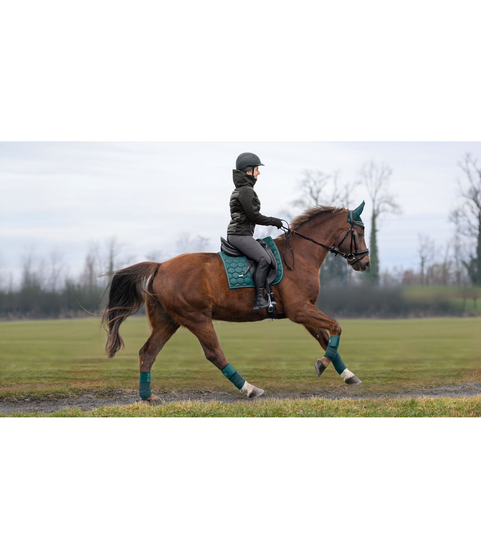 Saddle Pad Sparkling II