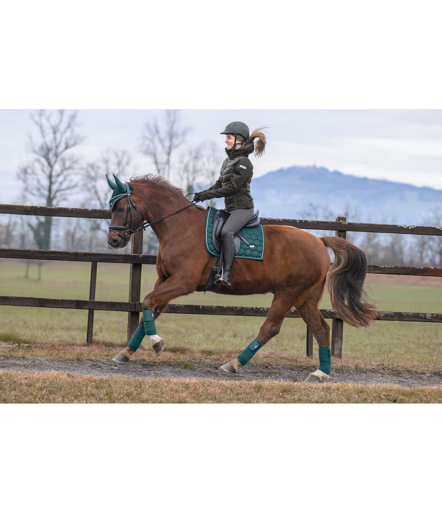 Saddle Pad Sparkling II