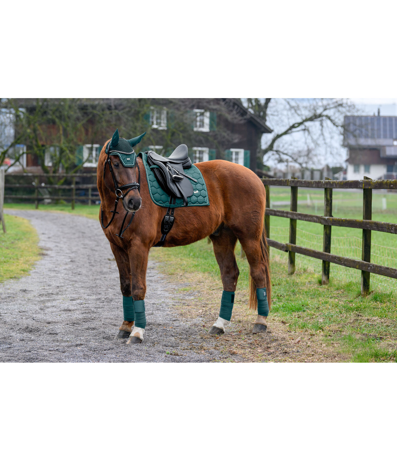 Saddle Pad Sparkling II