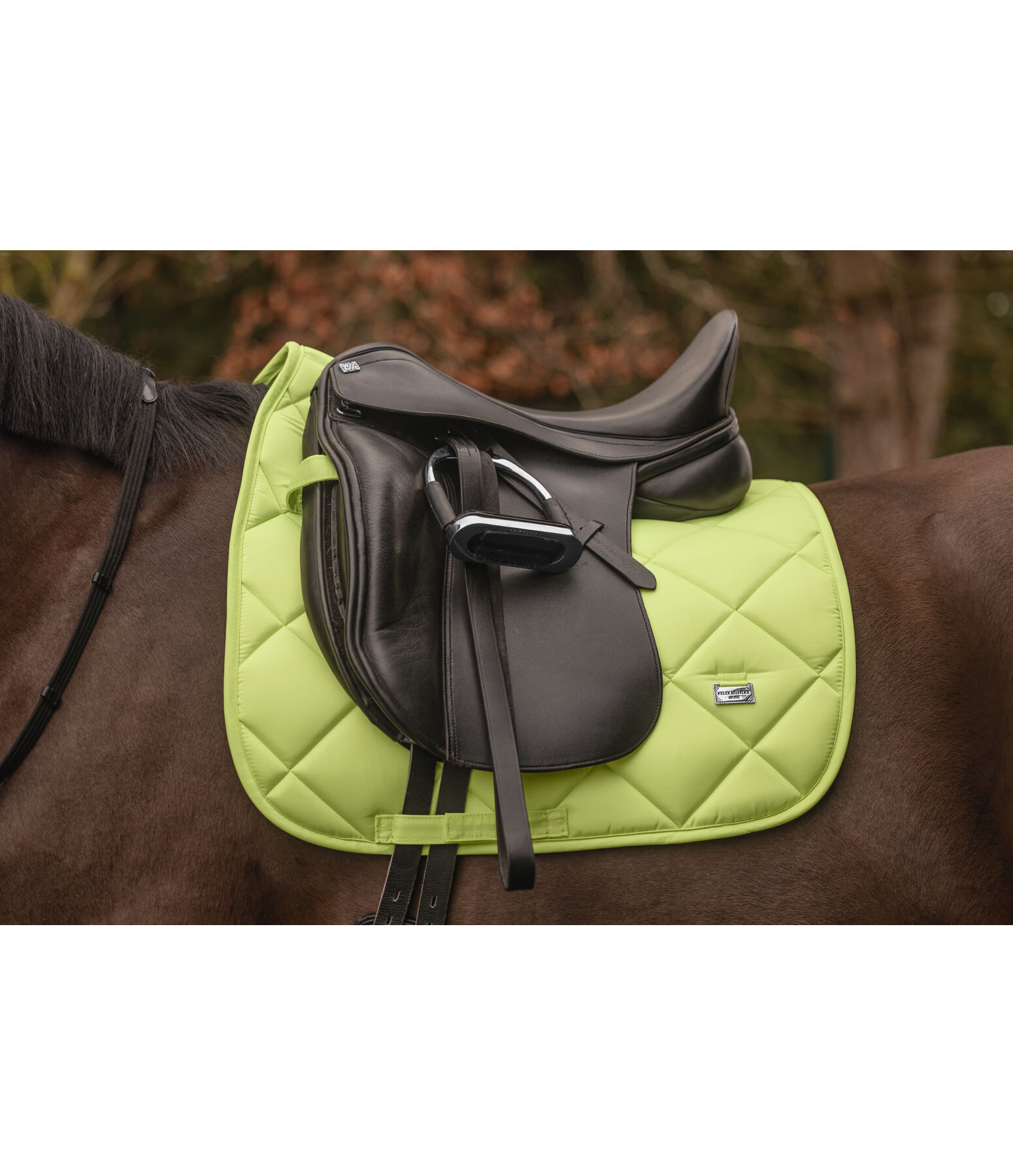 Saddle Pad Essential Standard