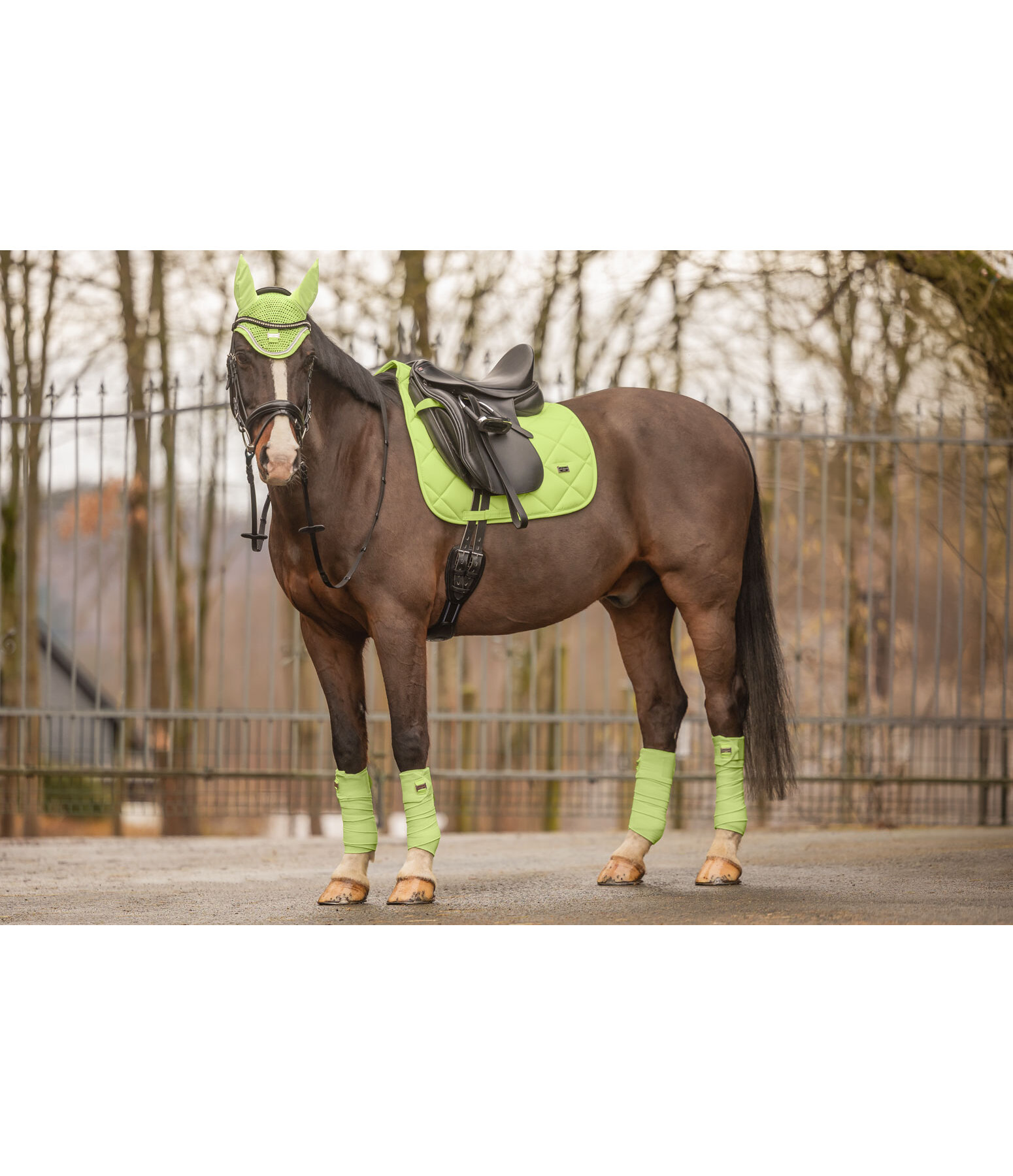 Saddle Pad Essential Standard