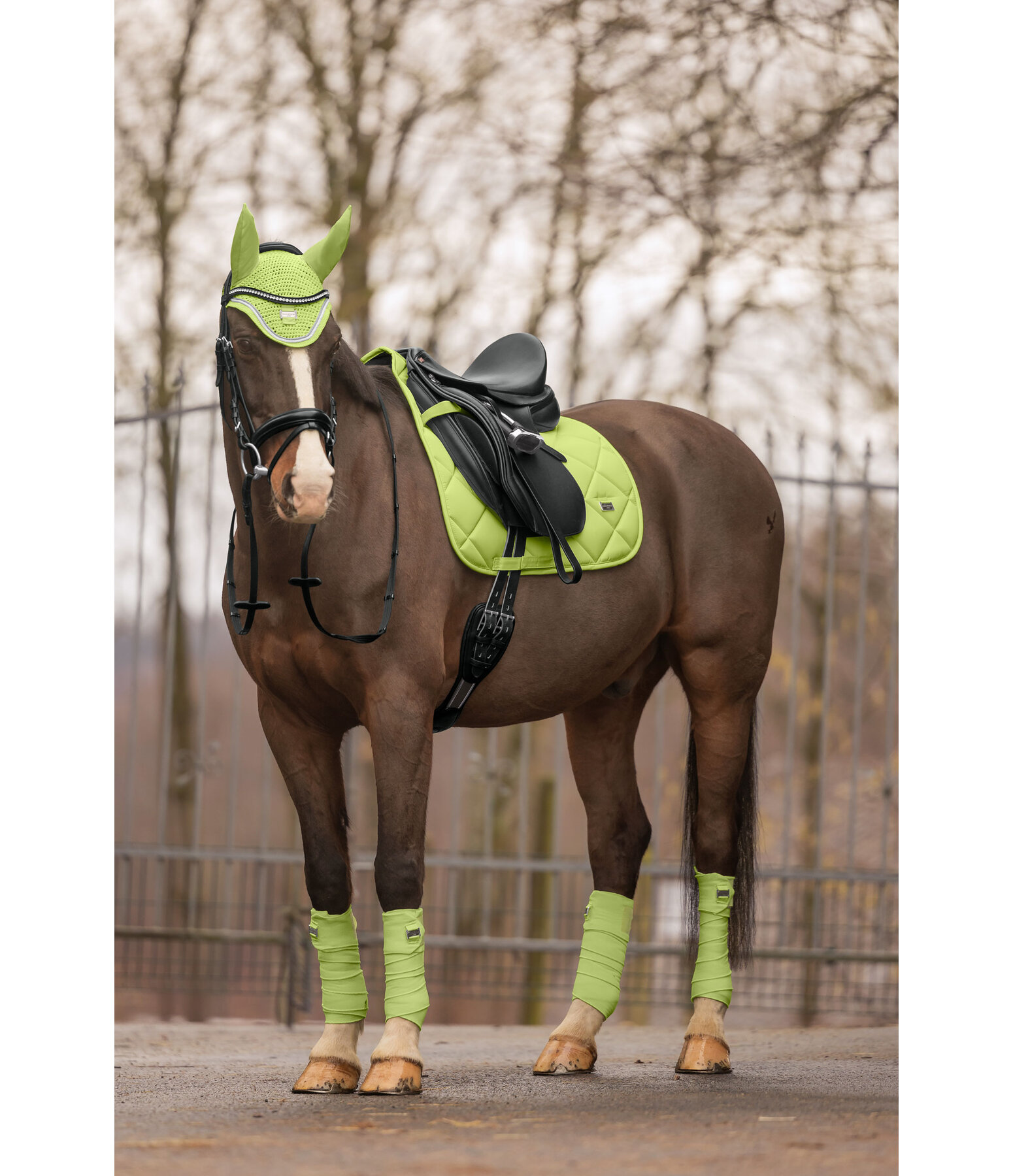 Saddle Pad Essential Standard