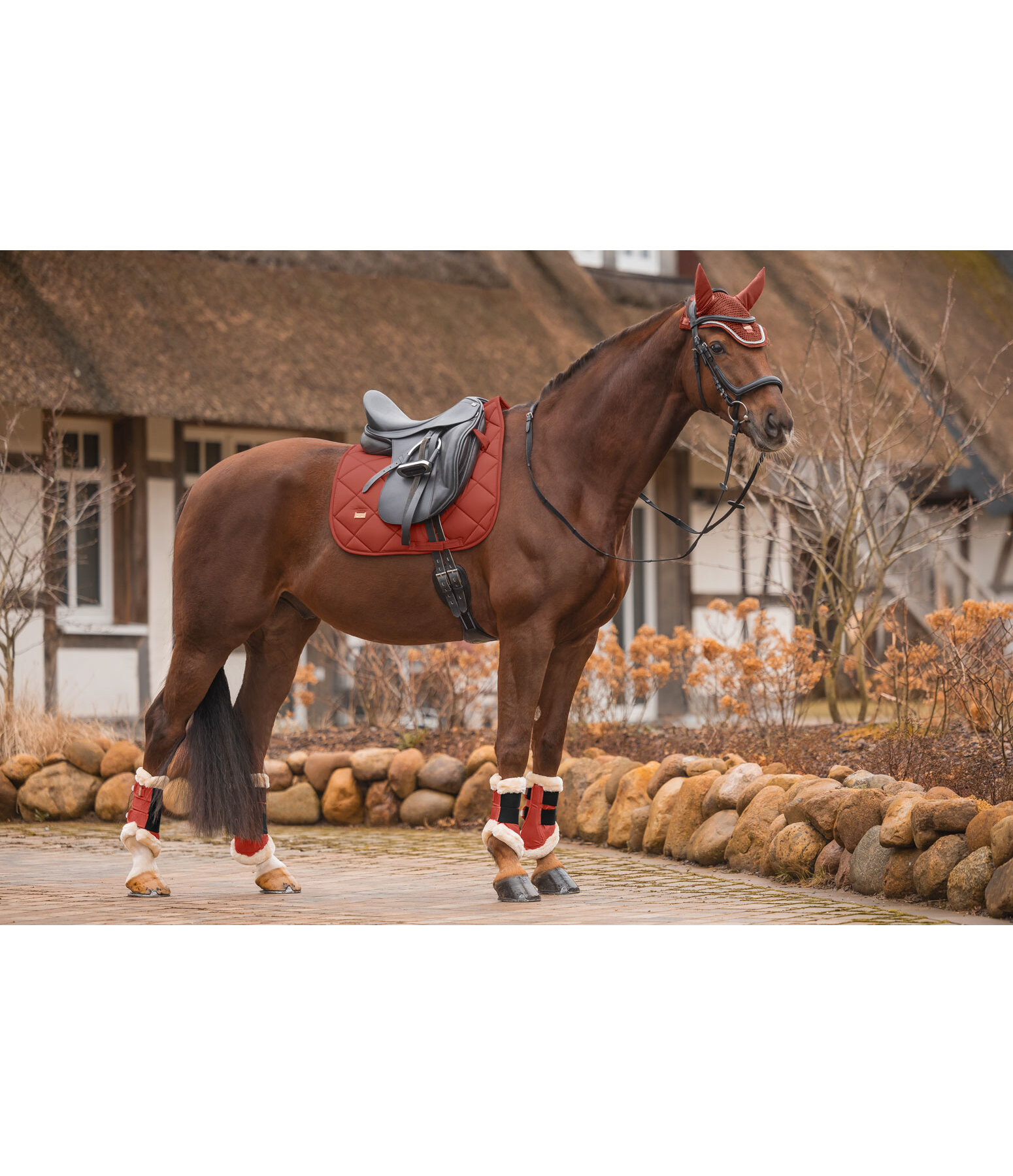 Saddle Pad Essential Standard