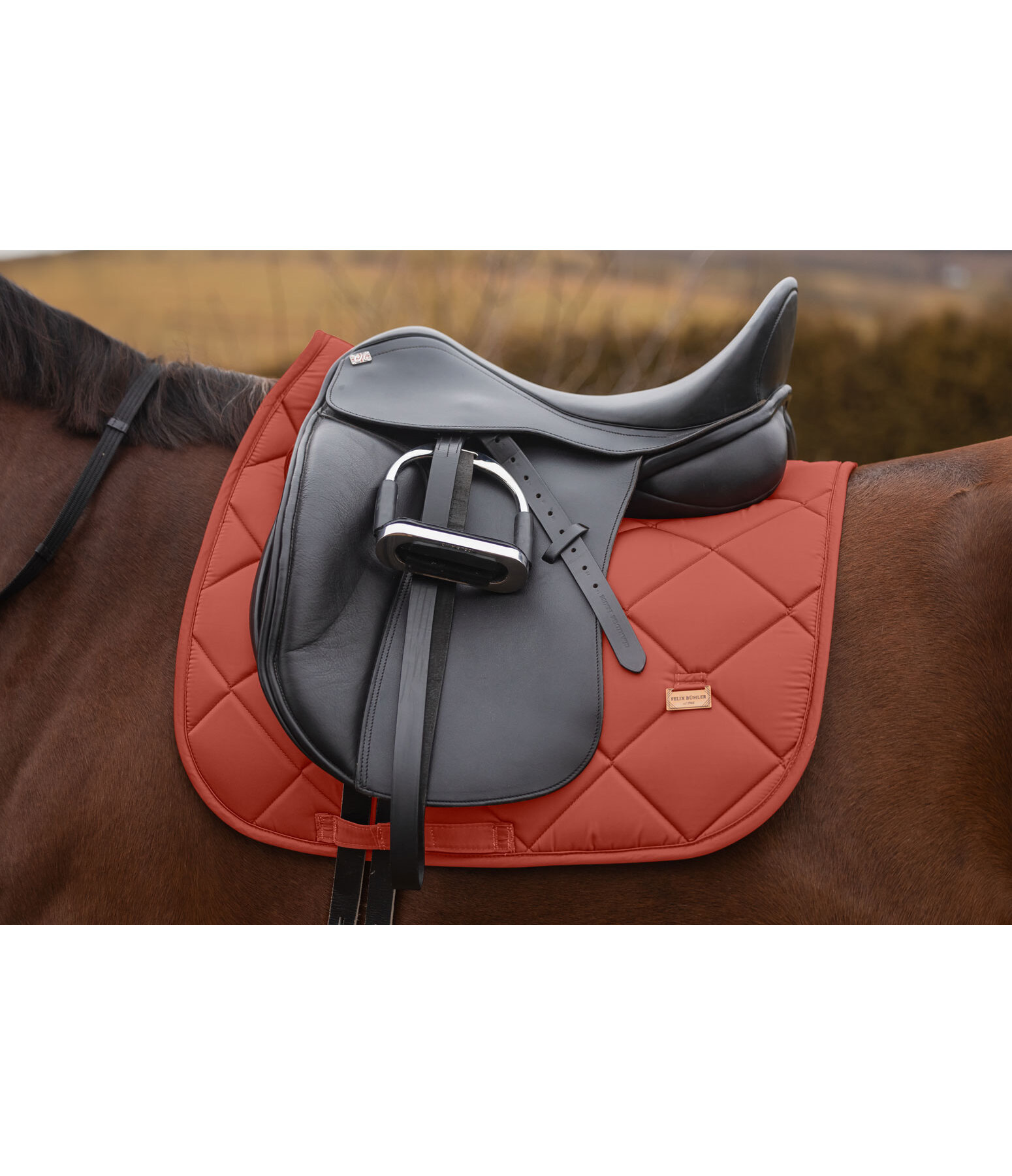 Saddle Pad Essential Standard