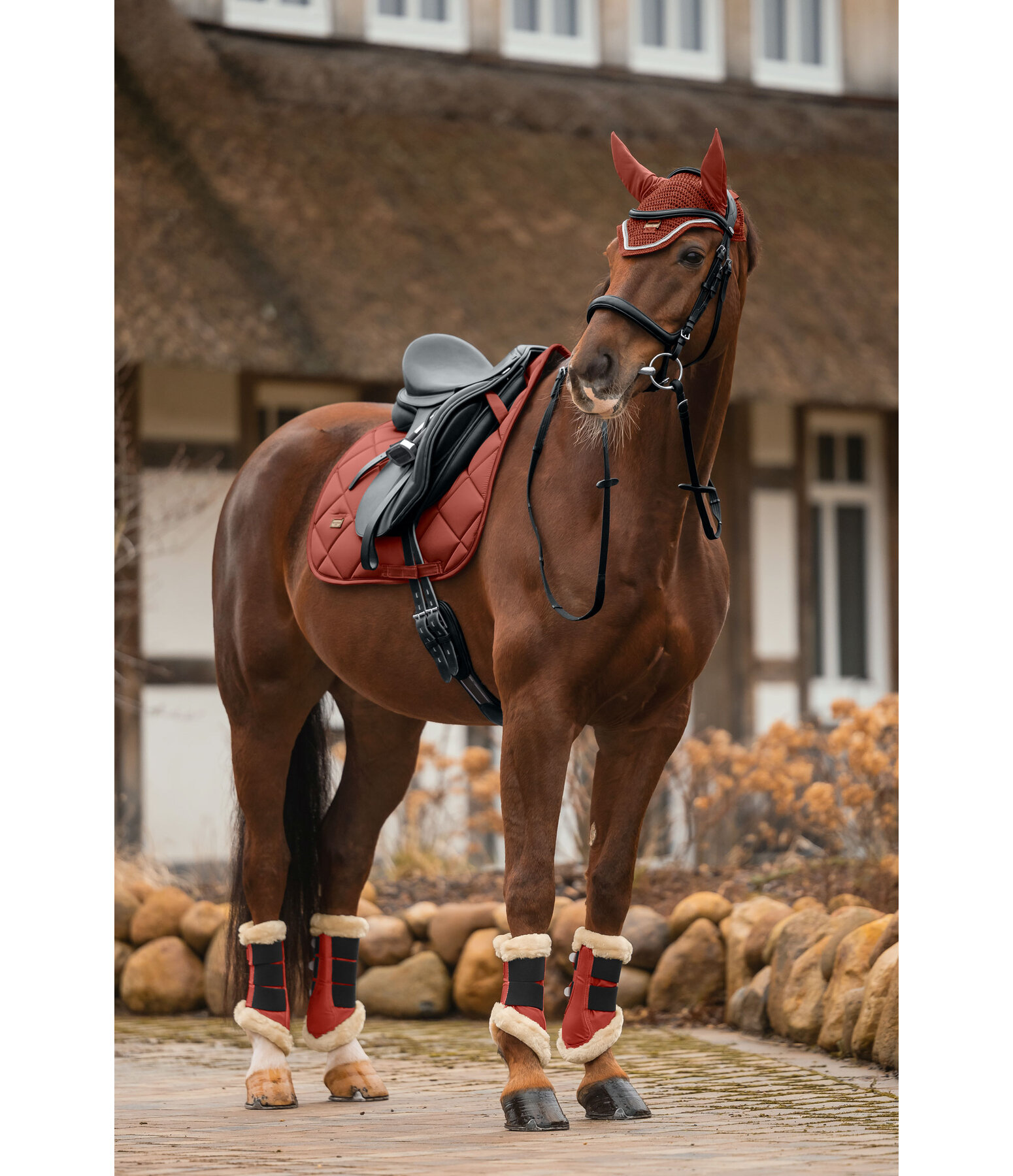 Saddle Pad Essential Standard