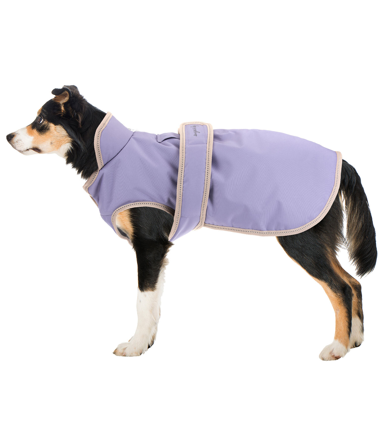 Dog Coat Eddie with Fleece Lining 200 g