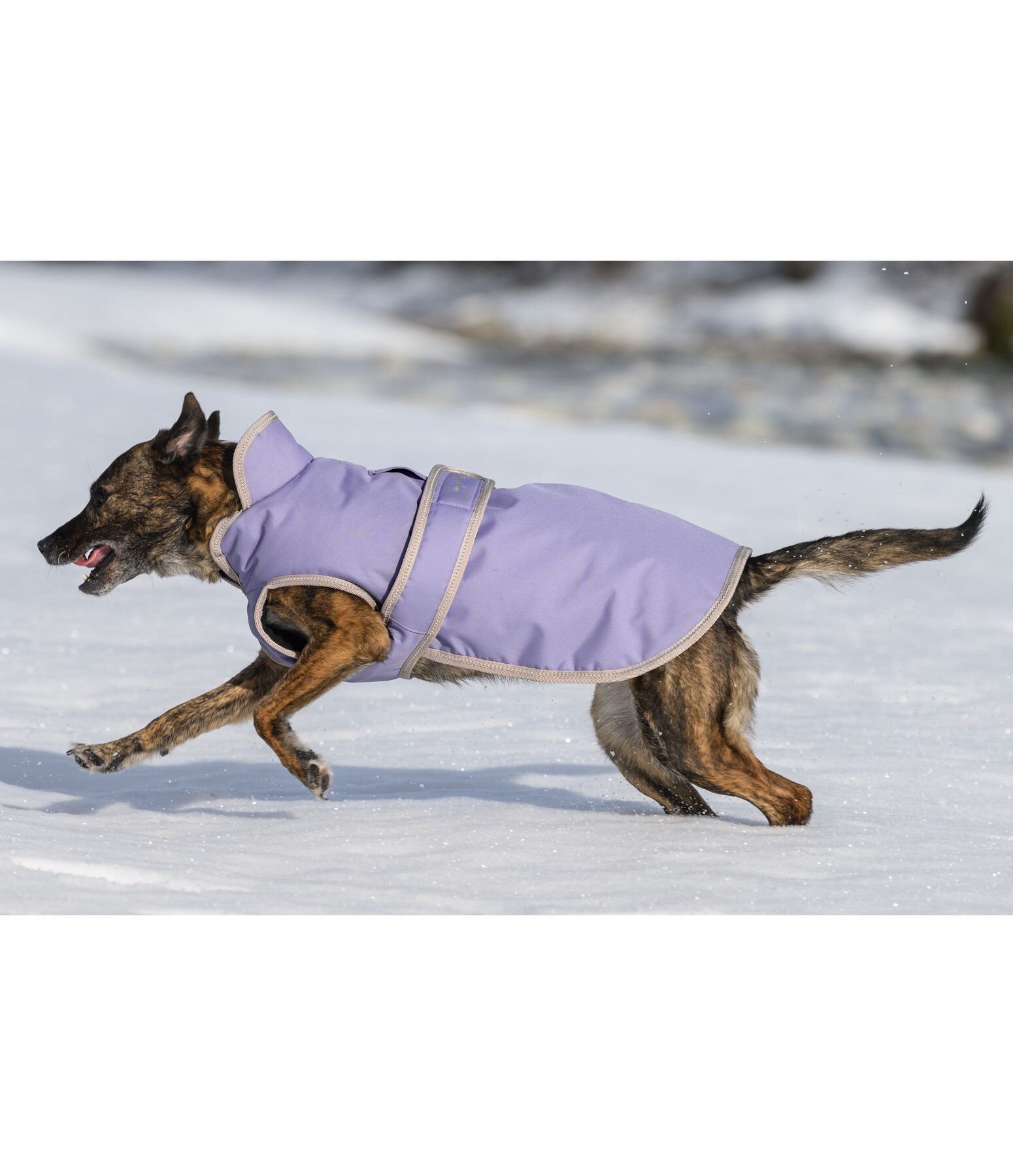 Dog Coat Eddie with Fleece Lining 200 g