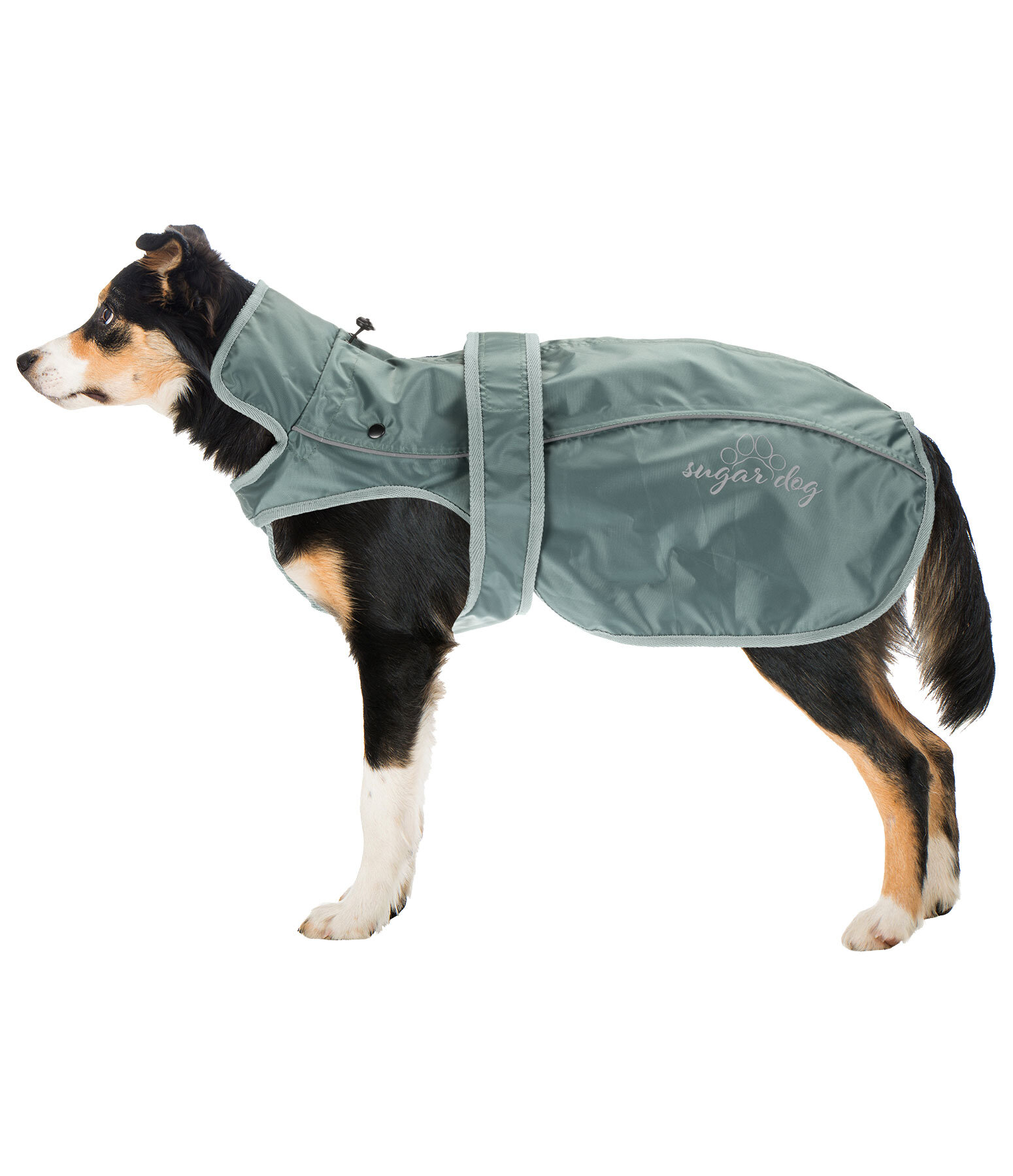 Dog Raincoat Ally 2 in 1