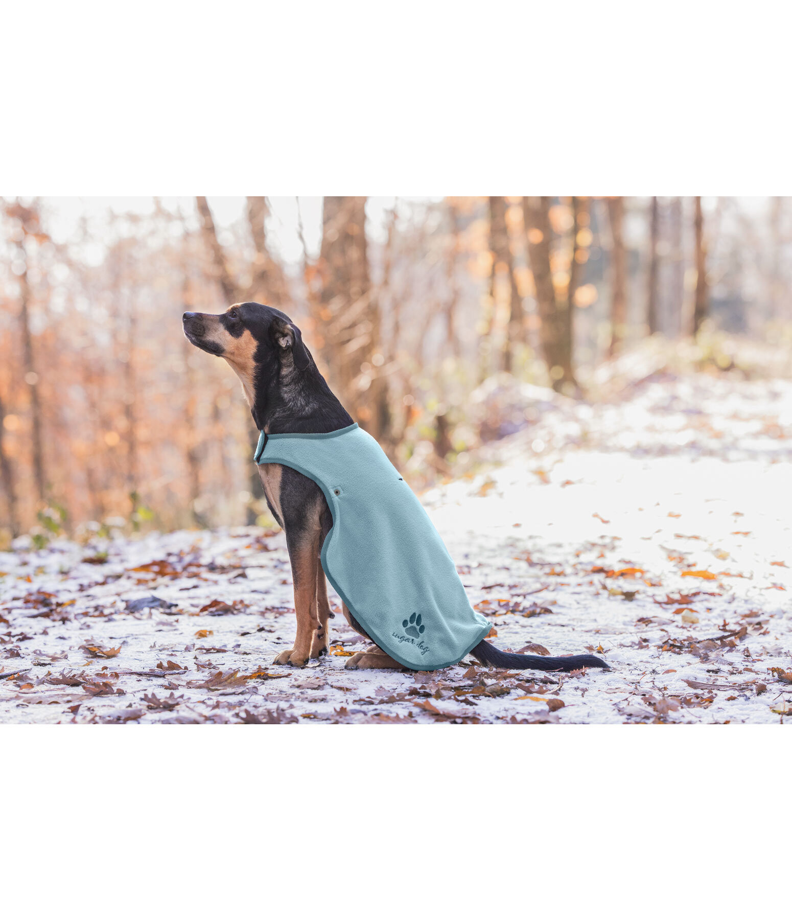 Dog Raincoat Eldoro II with Fleece Undercoat