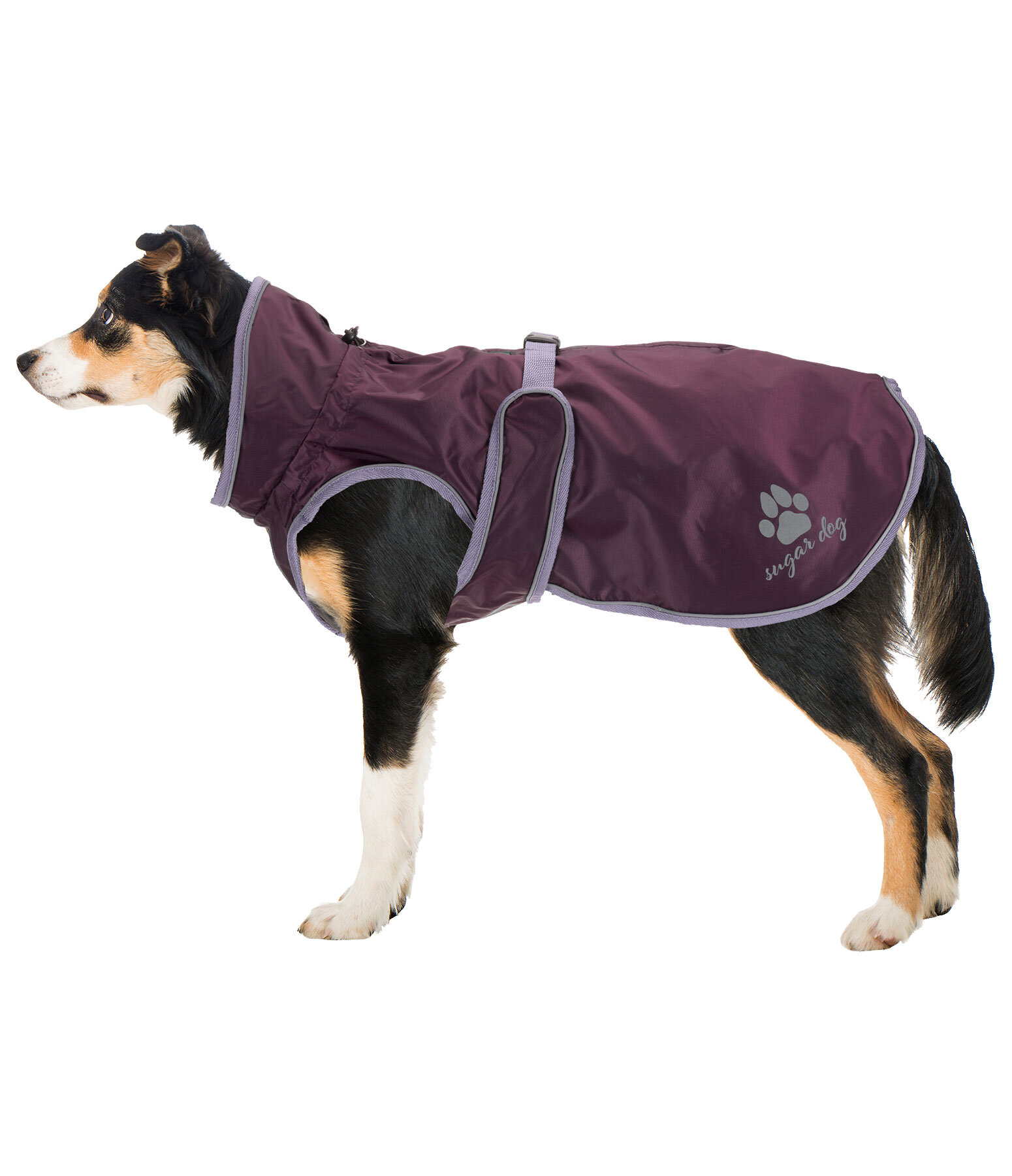 Dog Raincoat Eldoro II with Fleece Undercoat