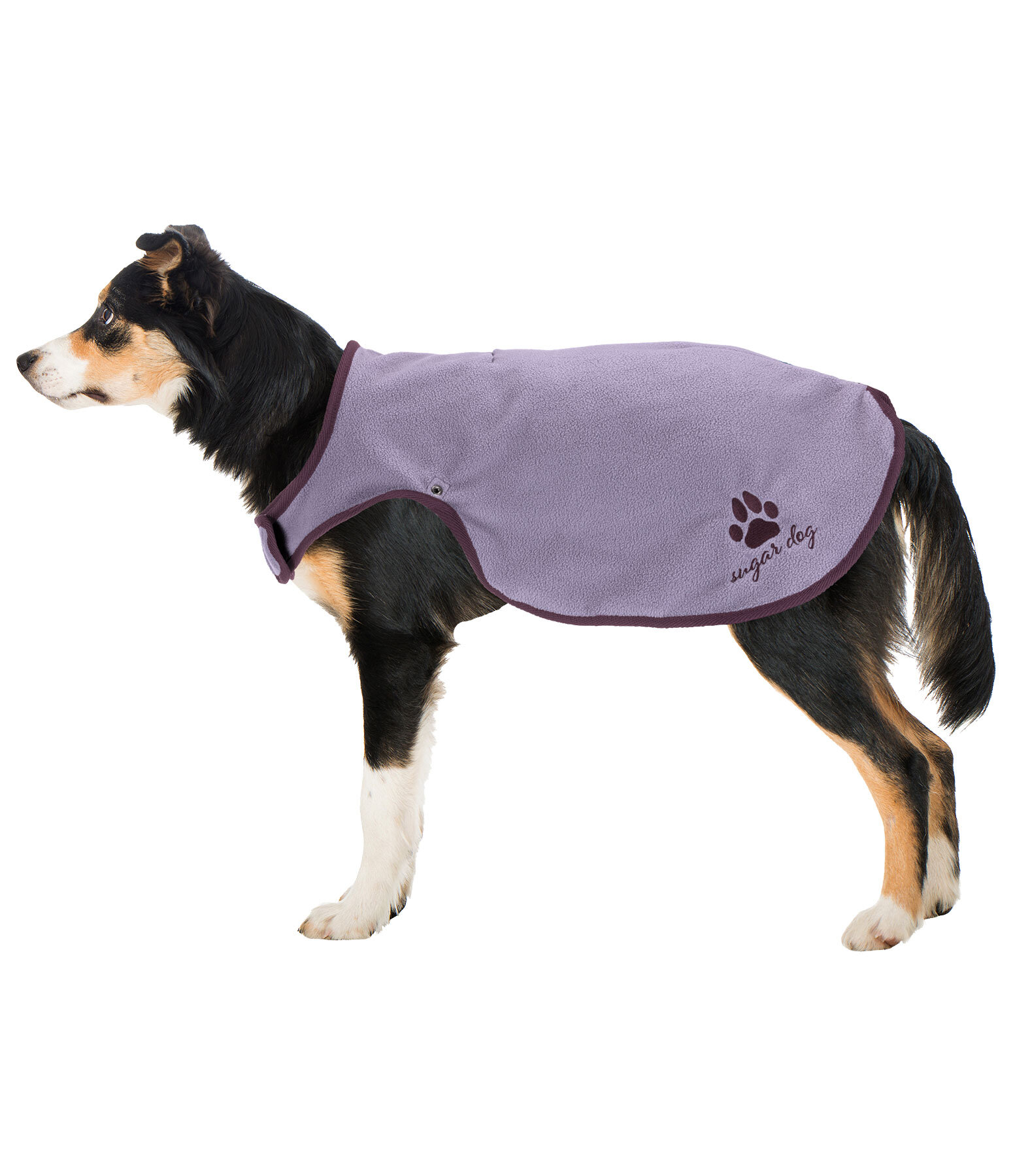 Dog Raincoat Eldoro II with Fleece Undercoat