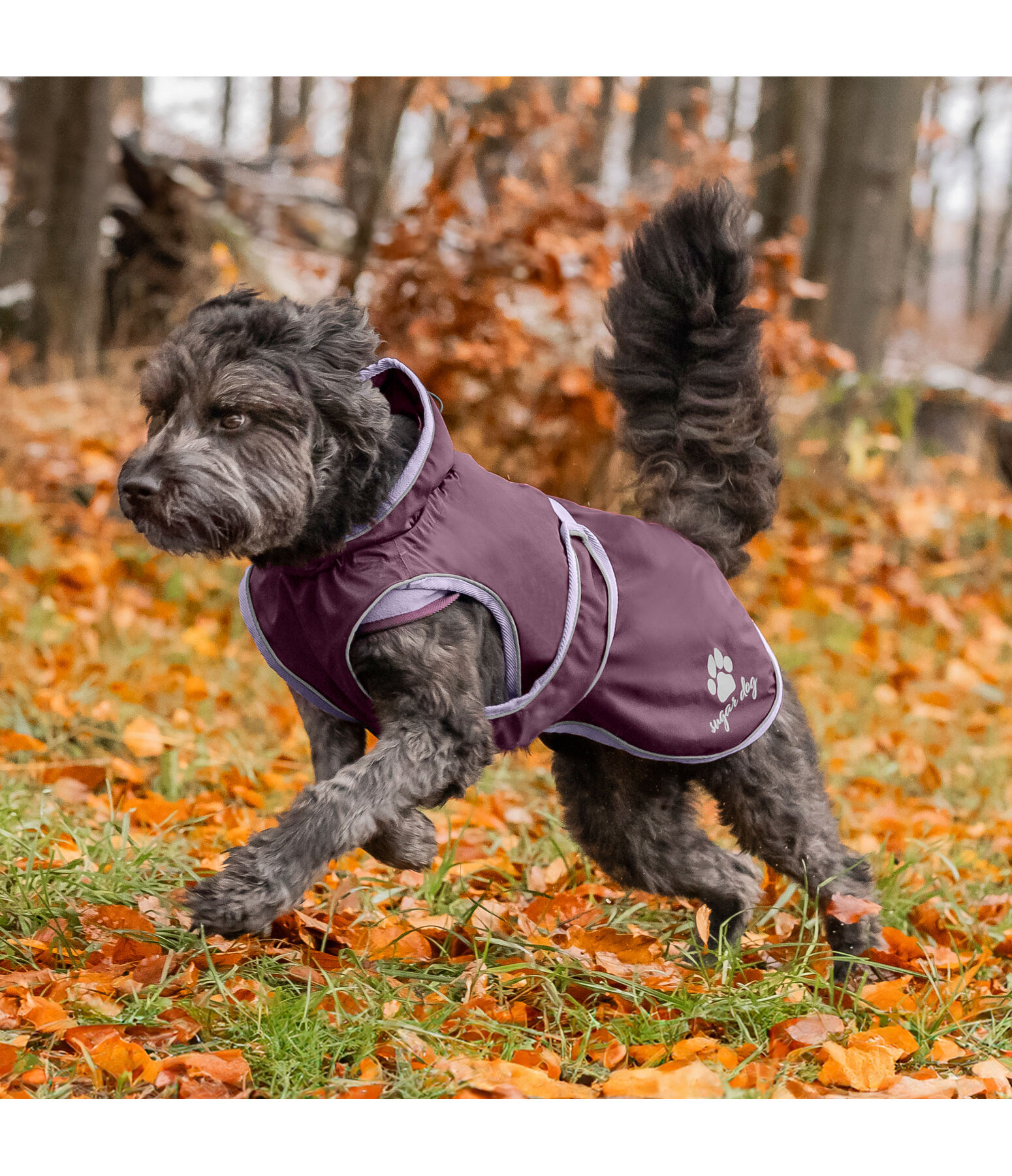 Dog Raincoat Eldoro II with Fleece Undercoat