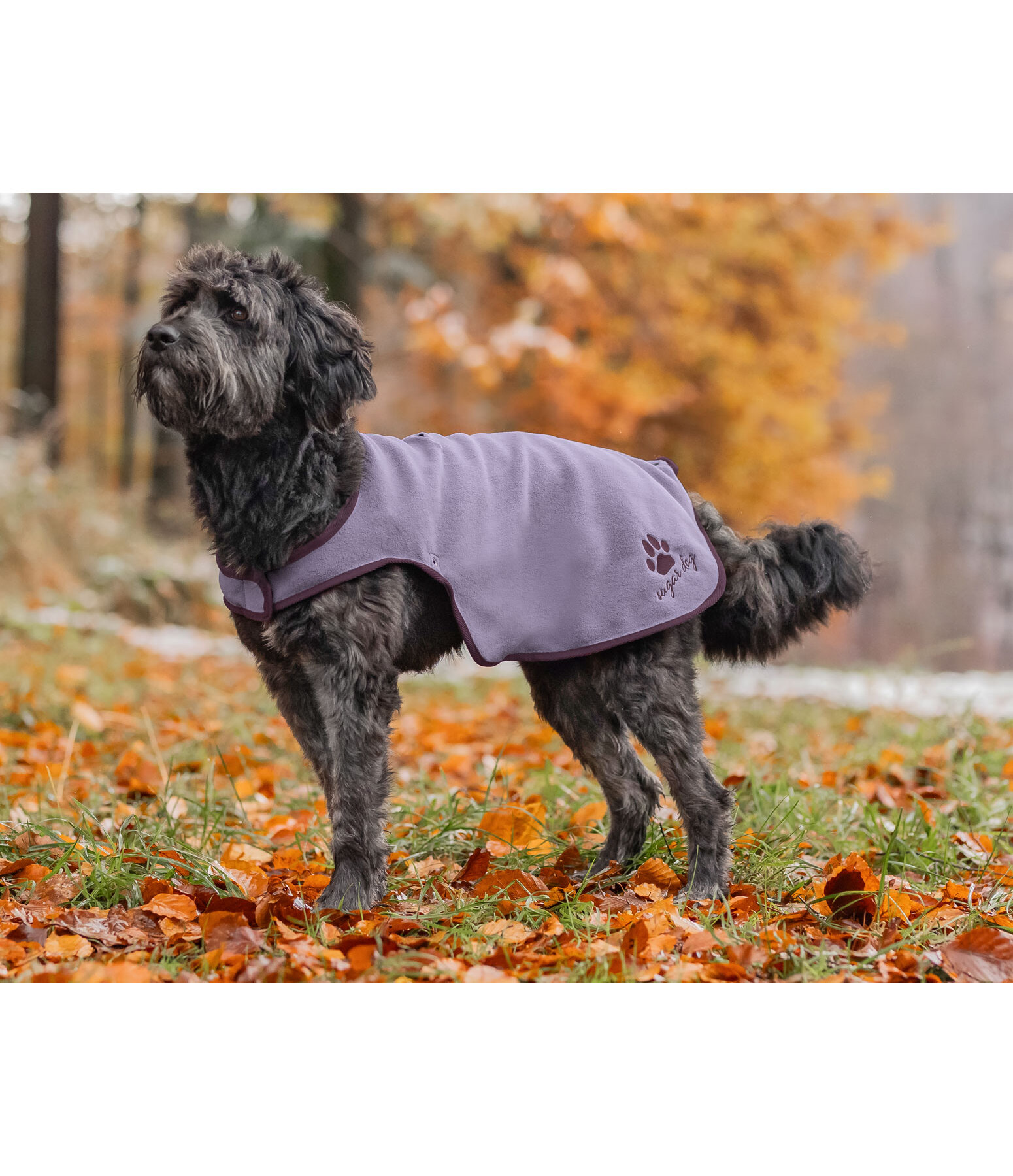 Dog Raincoat Eldoro II with Fleece Undercoat