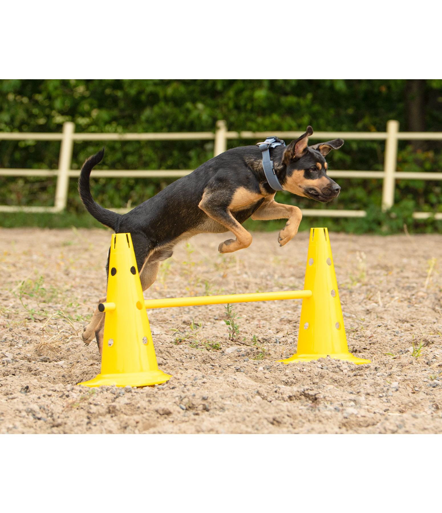 Agility Cones