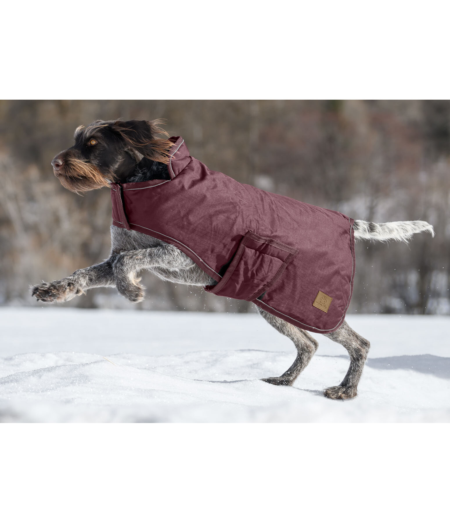 Winter Dog Coat Beaver Creek, 400g