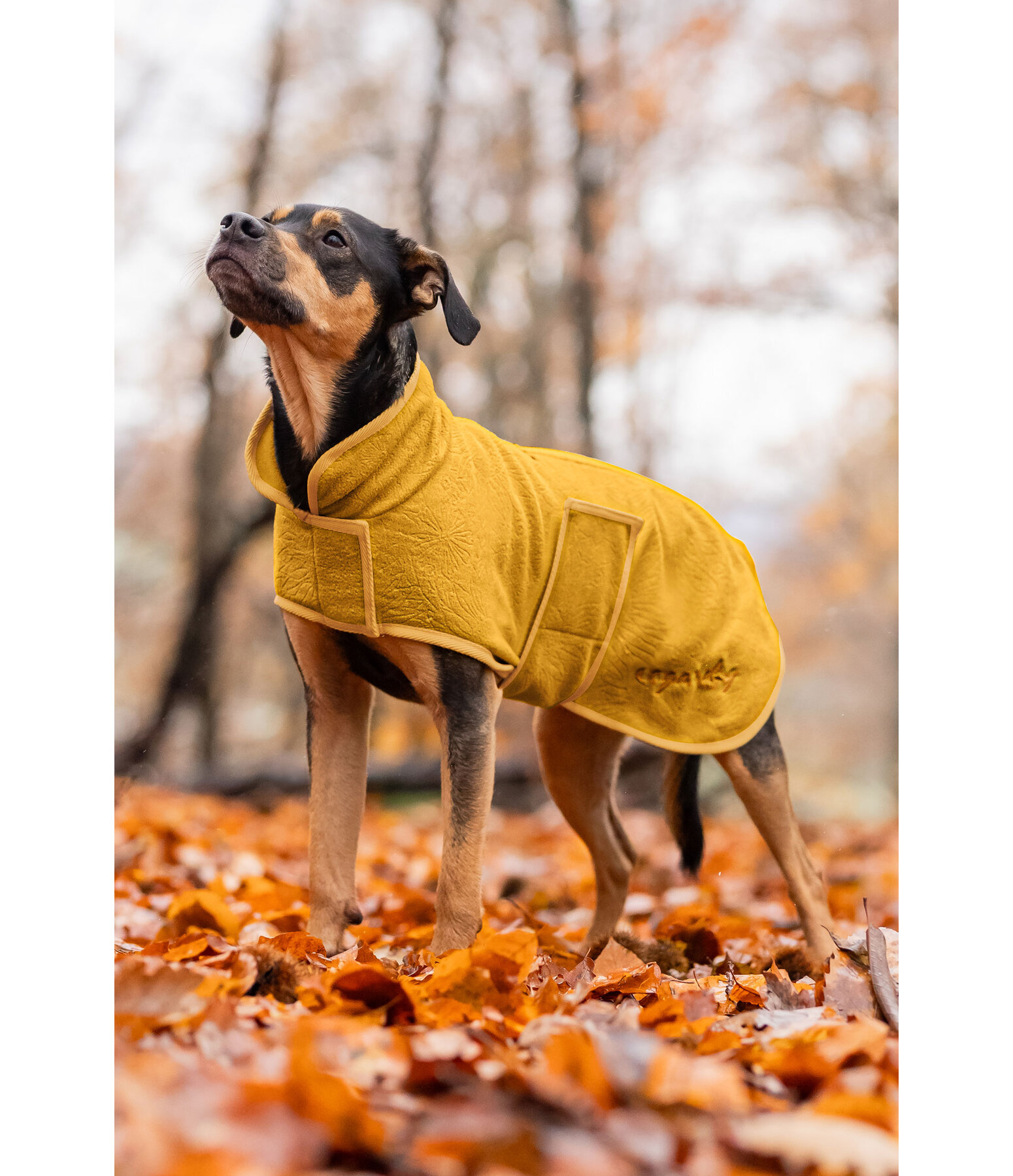 Fleece Coat Indian Summer