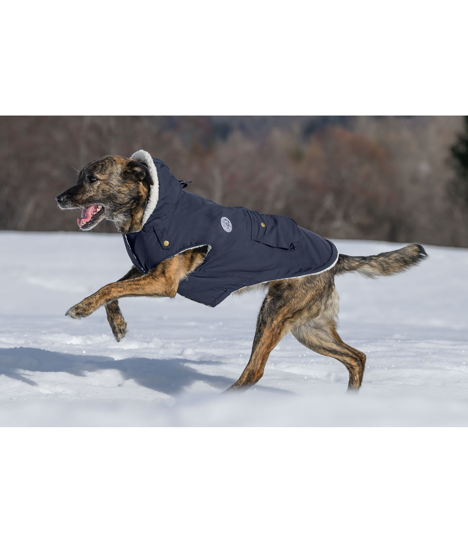 Rain Dog Parka Wilbur with Sherpa Lining, 60g