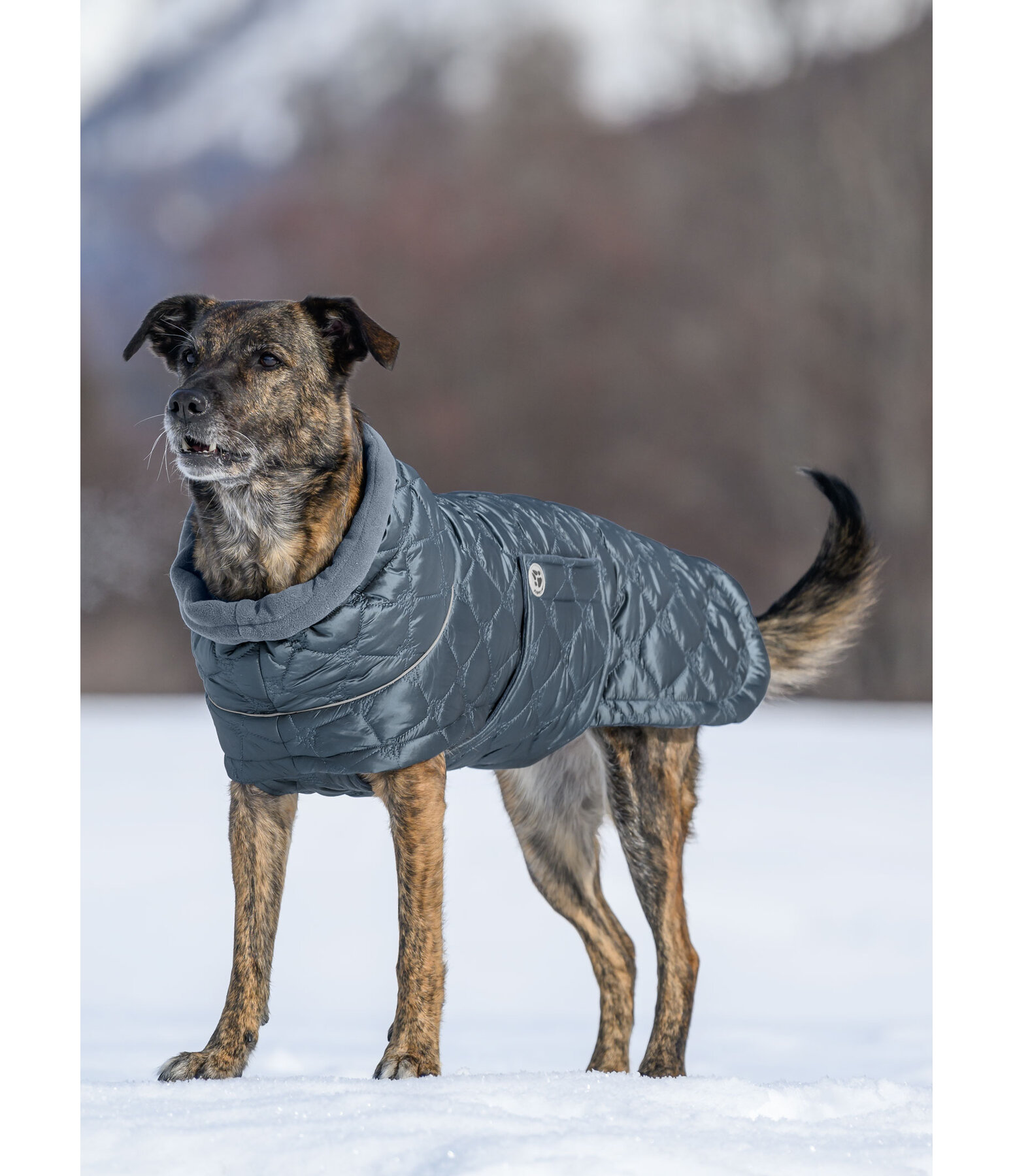 Lightweight Quilted Dog Jacket Cliff with Fleece Lining, 200g