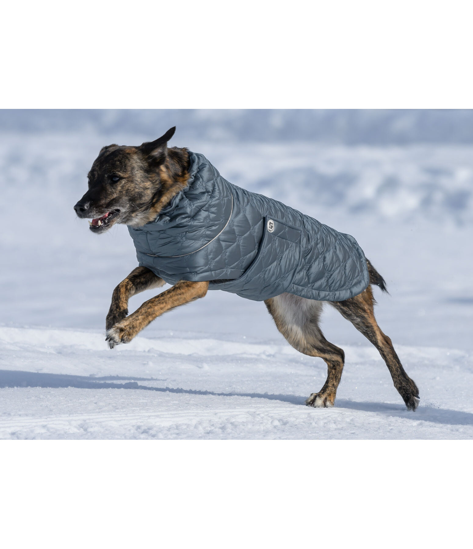 Lightweight Quilted Dog Jacket Cliff with Fleece Lining, 200g