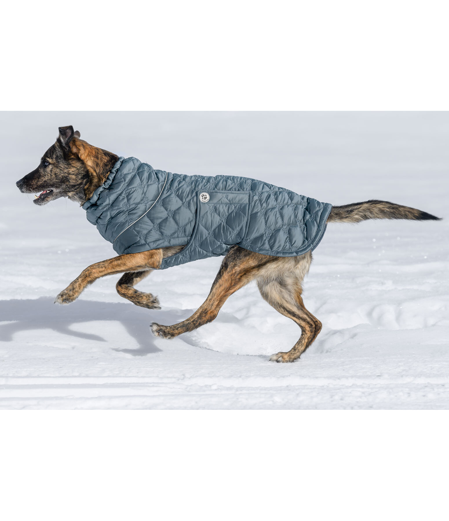 Lightweight Quilted Dog Jacket Cliff with Fleece Lining, 200g