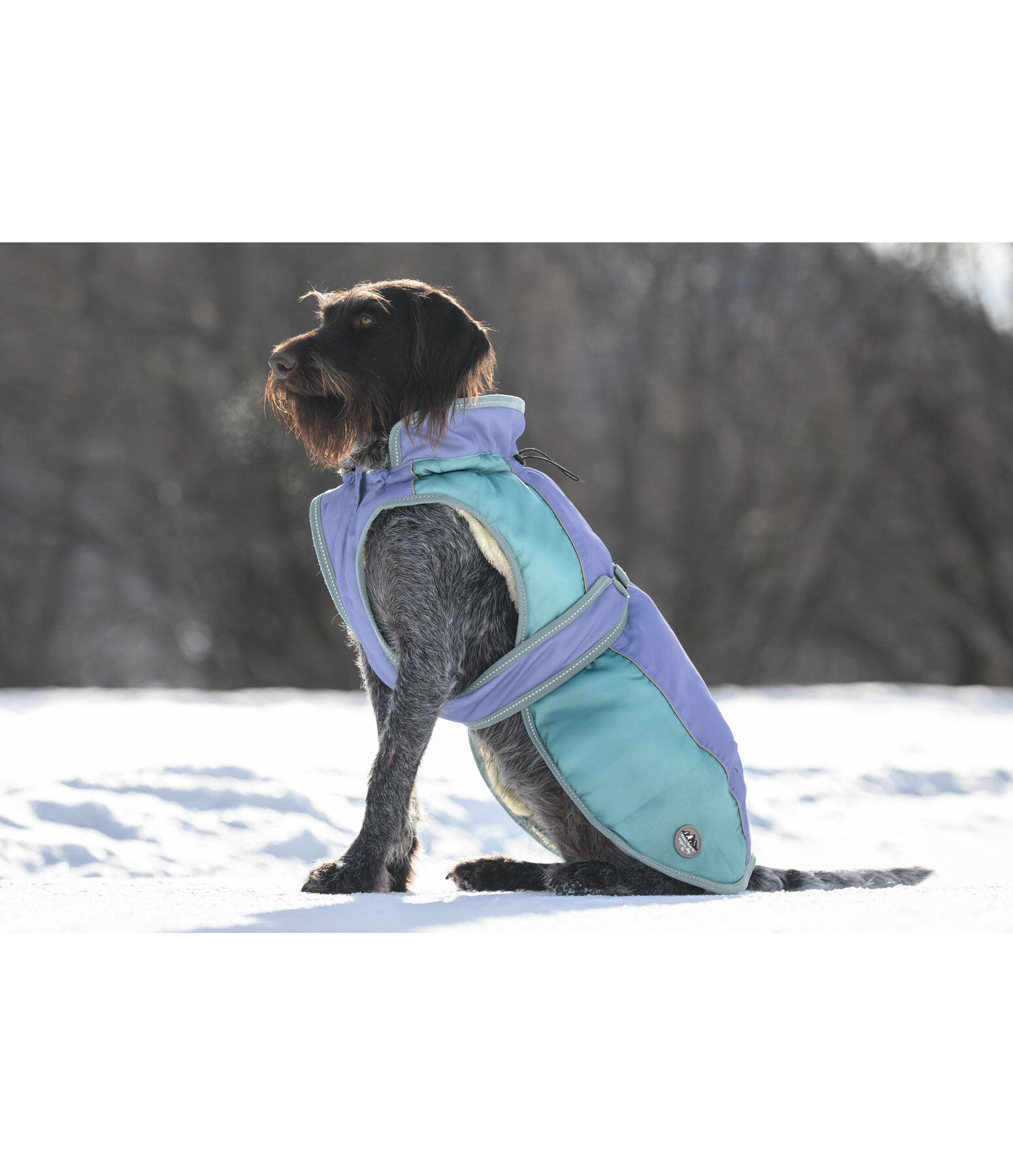 Winter Coat Glacier Bay with teddy fleece lining, 100g