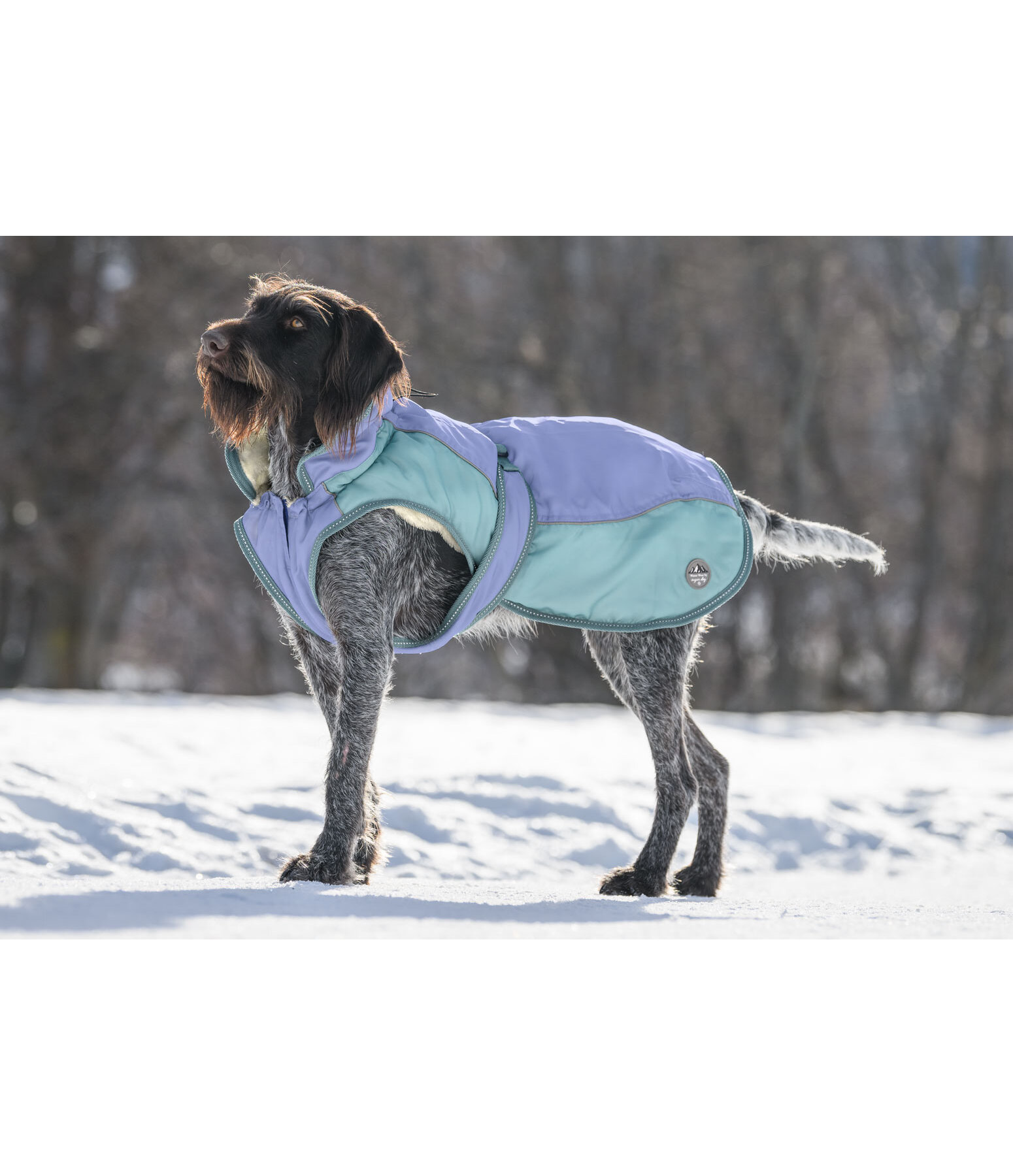 Winter Coat Glacier Bay with teddy fleece lining, 100g