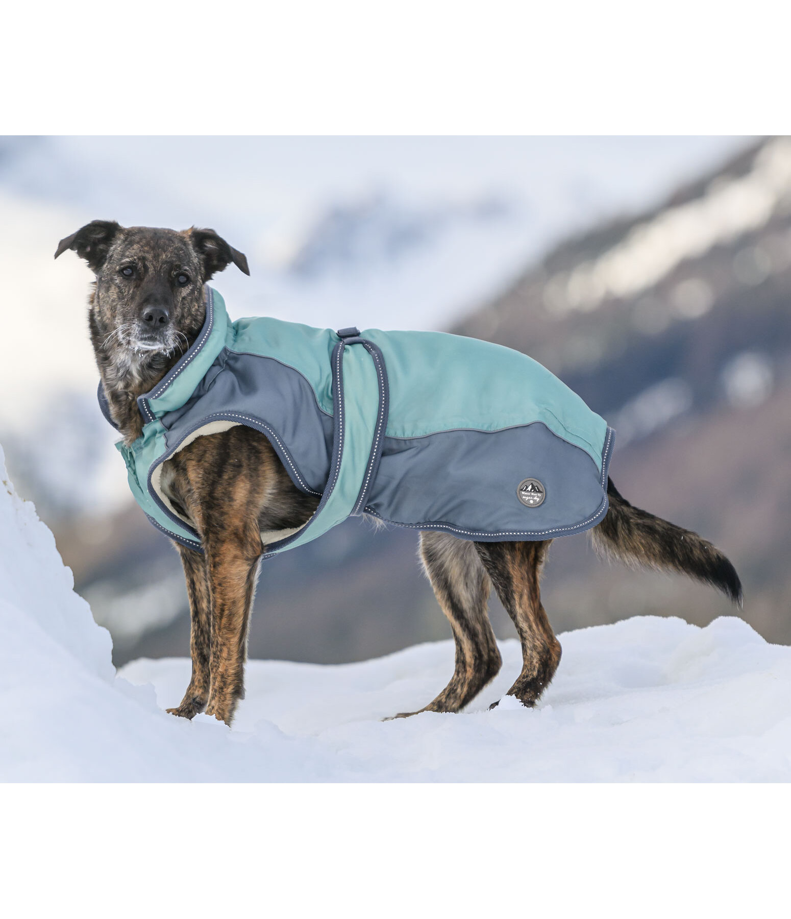 Winter Coat Glacier Bay with teddy fleece lining, 100g