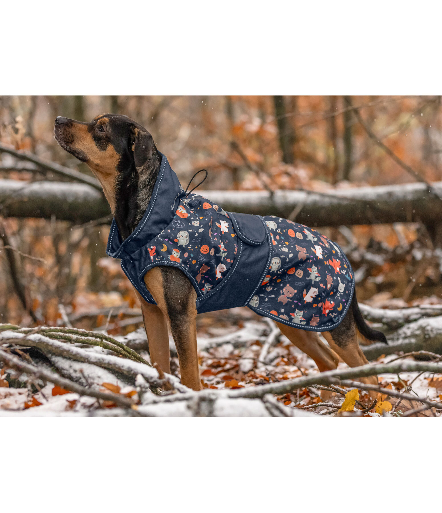 Rain Dog Coat Pumpkin Spice, 0g