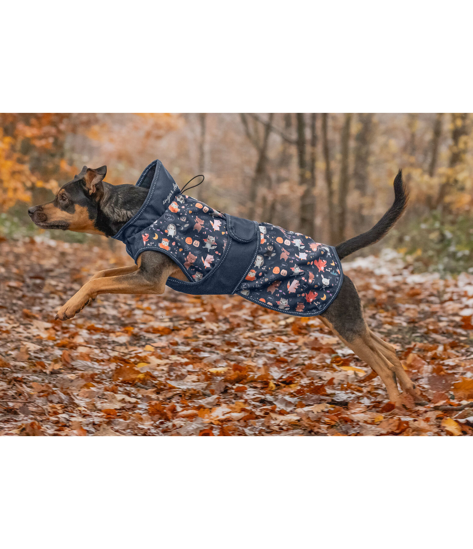 Rain Dog Coat Pumpkin Spice, 0g