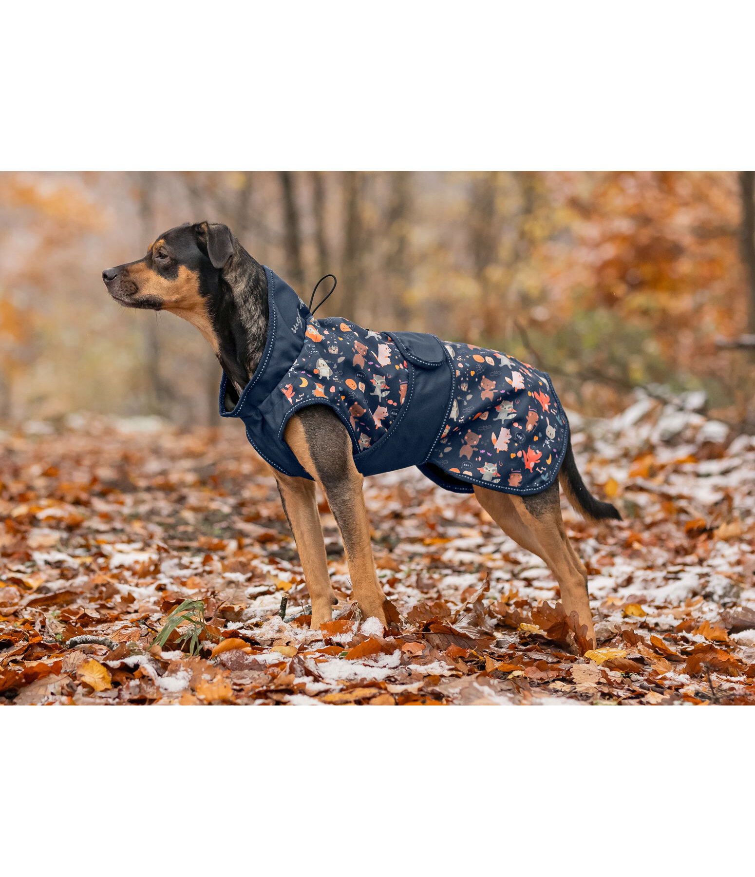 Rain Dog Coat Pumpkin Spice, 0g