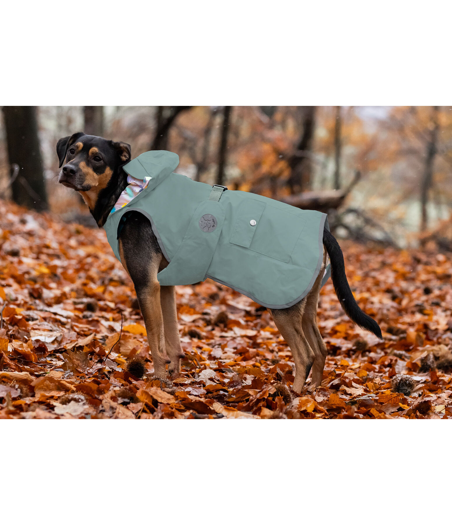 Rain Dog Coat Waterton Lakes, 0g